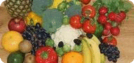 nutrition_course_training